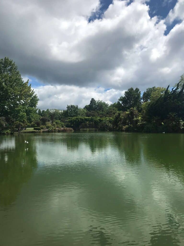 Kuirau Park, one of the most accessible geothermal walks in Rotorua