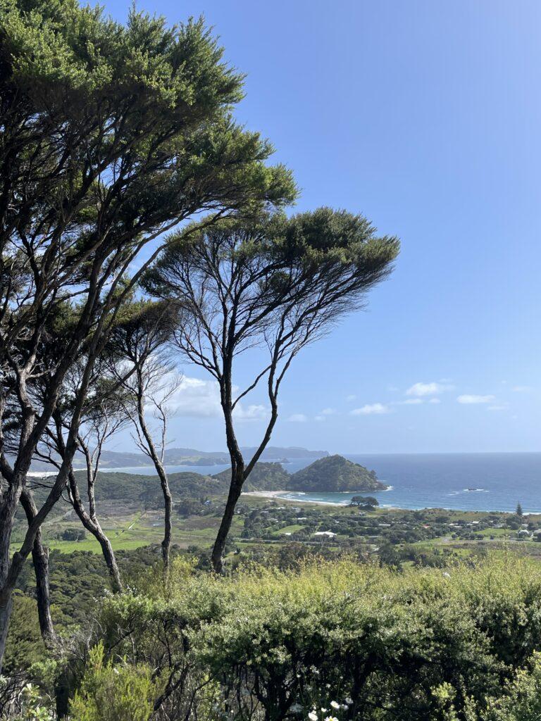 Trees and Coastline