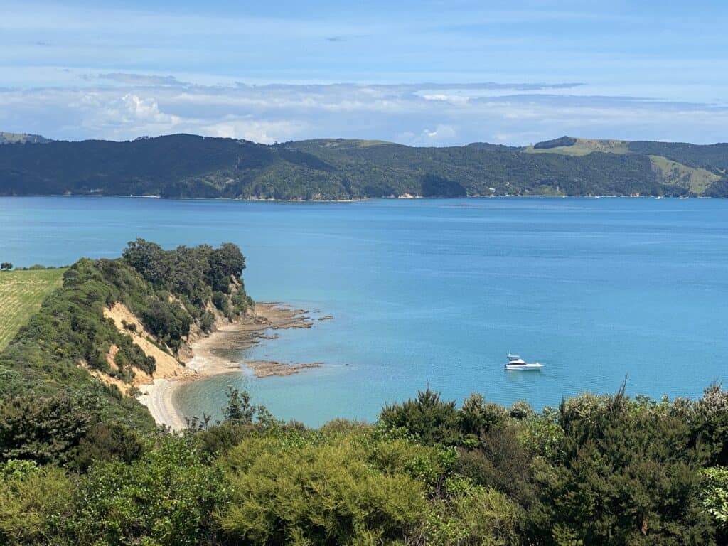 View from Rotoroa Island