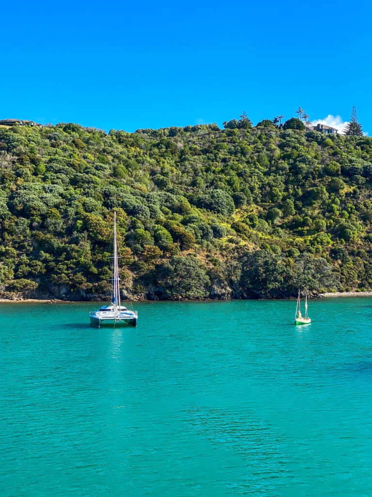 Yachts in bright blue water off Waiheke