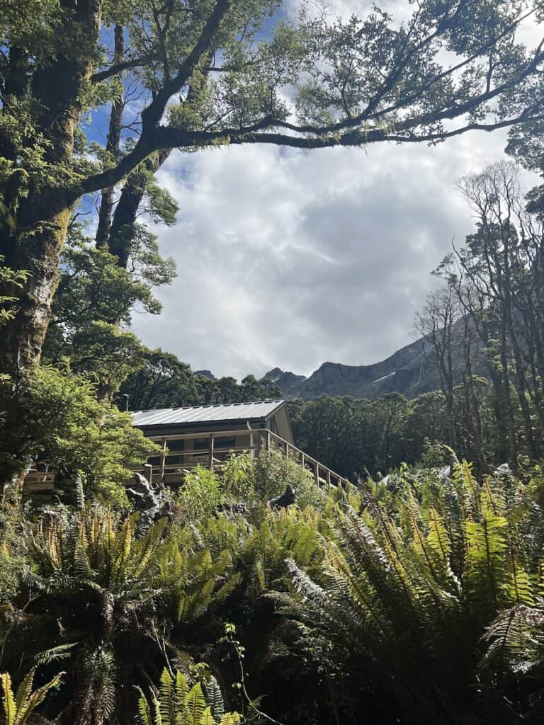 wooden hut on the Milford track visible behind lush rainforest