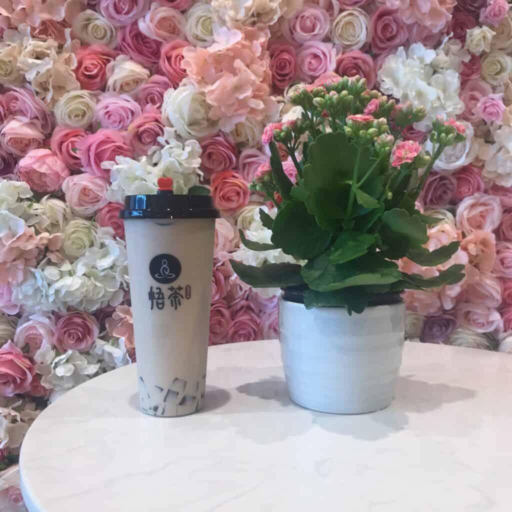 Bubble Tea in Front of Pink Rose Wall