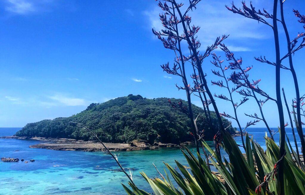 Crystal clear waters at Goat Island, Northern New Zealand