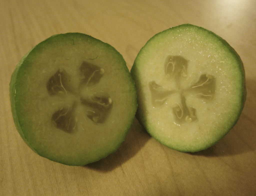 feijoa fruit cut open