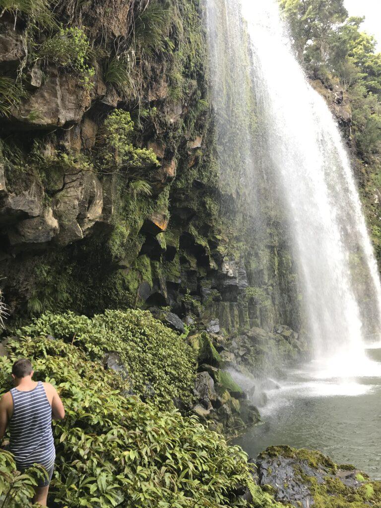 Man walking through greenery towards the back of a waterfall