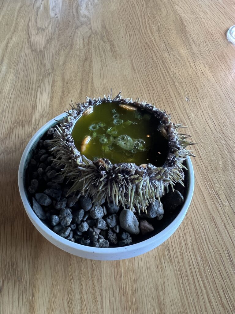 sea urchin soup in the Faroe Islands