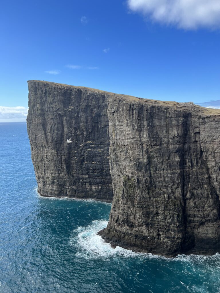 Where are the Faroe Islands, bird flying with mountains