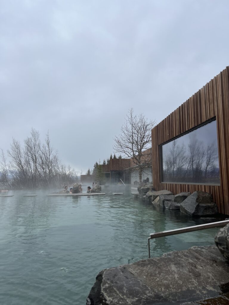 Forest Lagoon, hot spring in Iceland