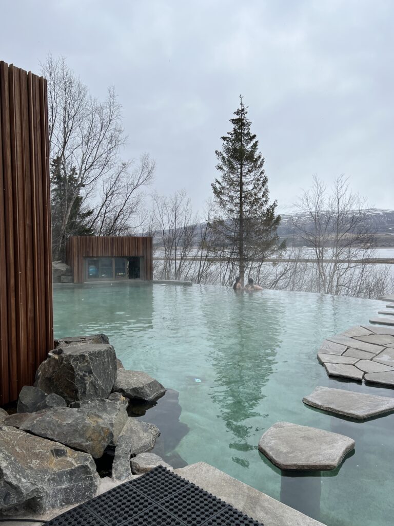 Forest Lagoon in Iceland