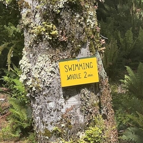 A sign that reads "Swimming Whole" with the W crossed out