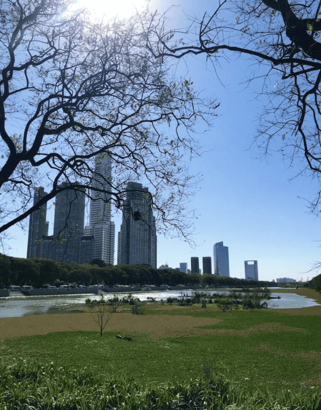 Buenos Aires skyline from nearby park