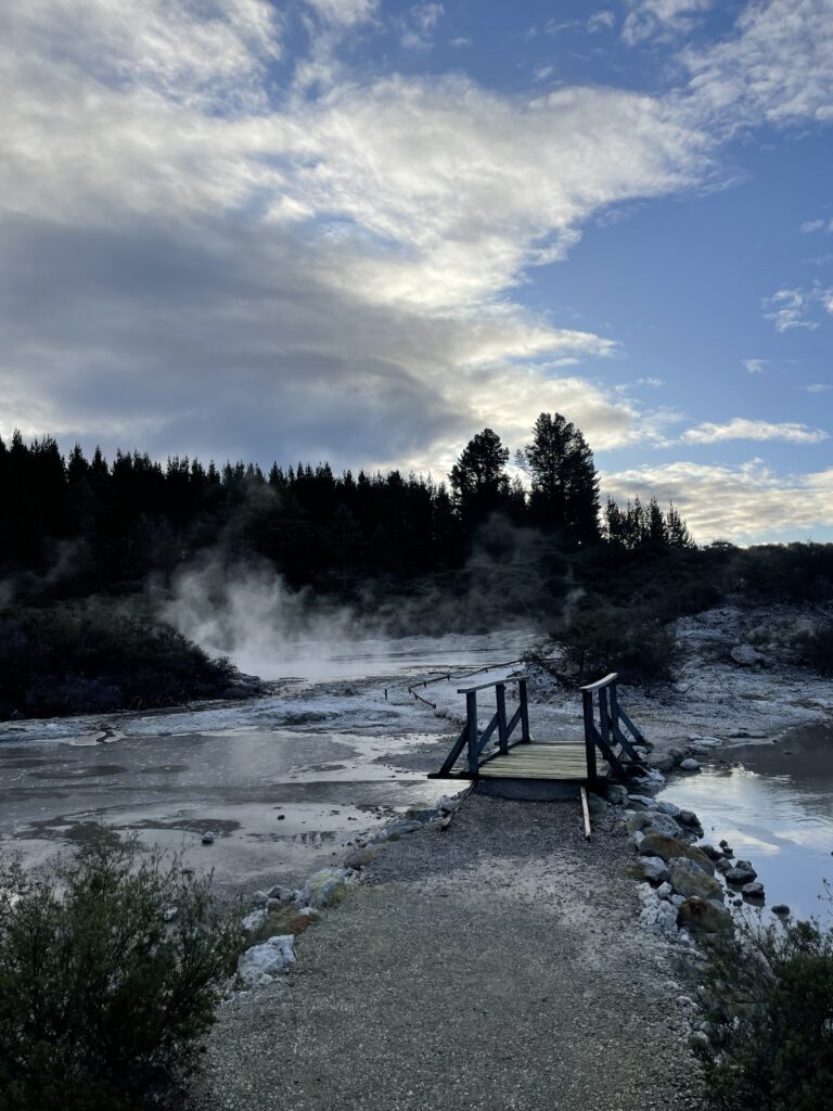 Geothermal park steaming ponds