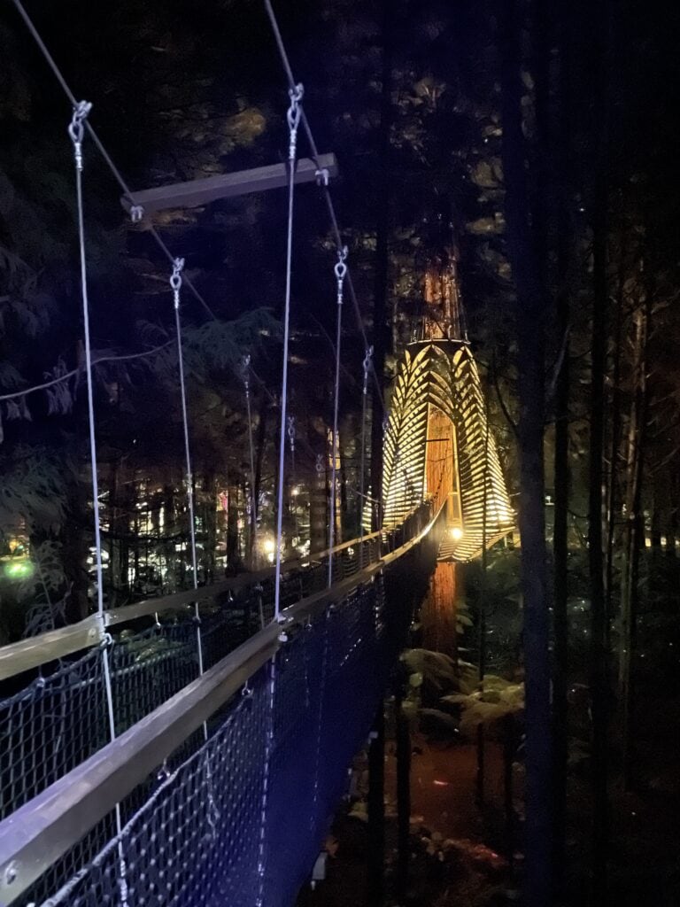 Hanging bridge and nest-like art installation