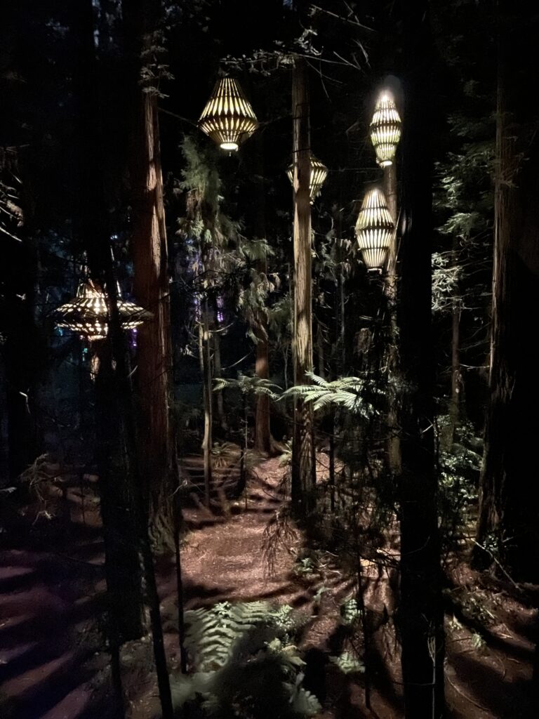 Hanging lanterns at the forest walk in Rotorua