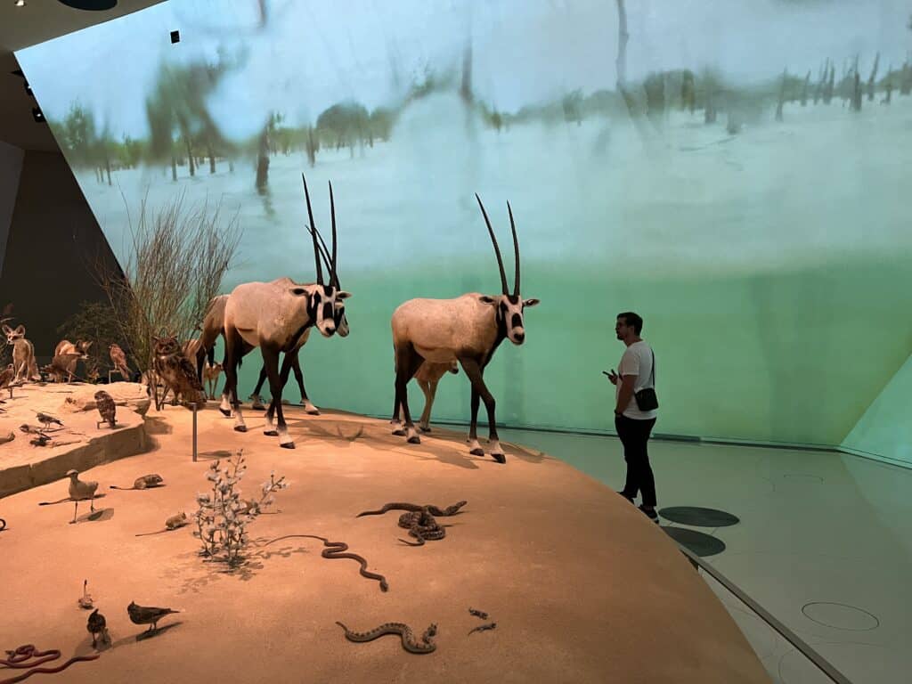 inside the National Museum of Qatar in the natural history section