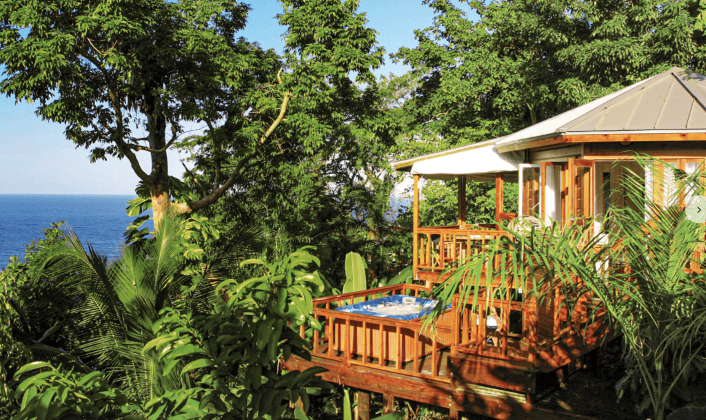 Rainforest Cabin in Jamaica