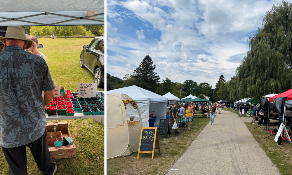 Elora Farmers Market in Bissel Park
