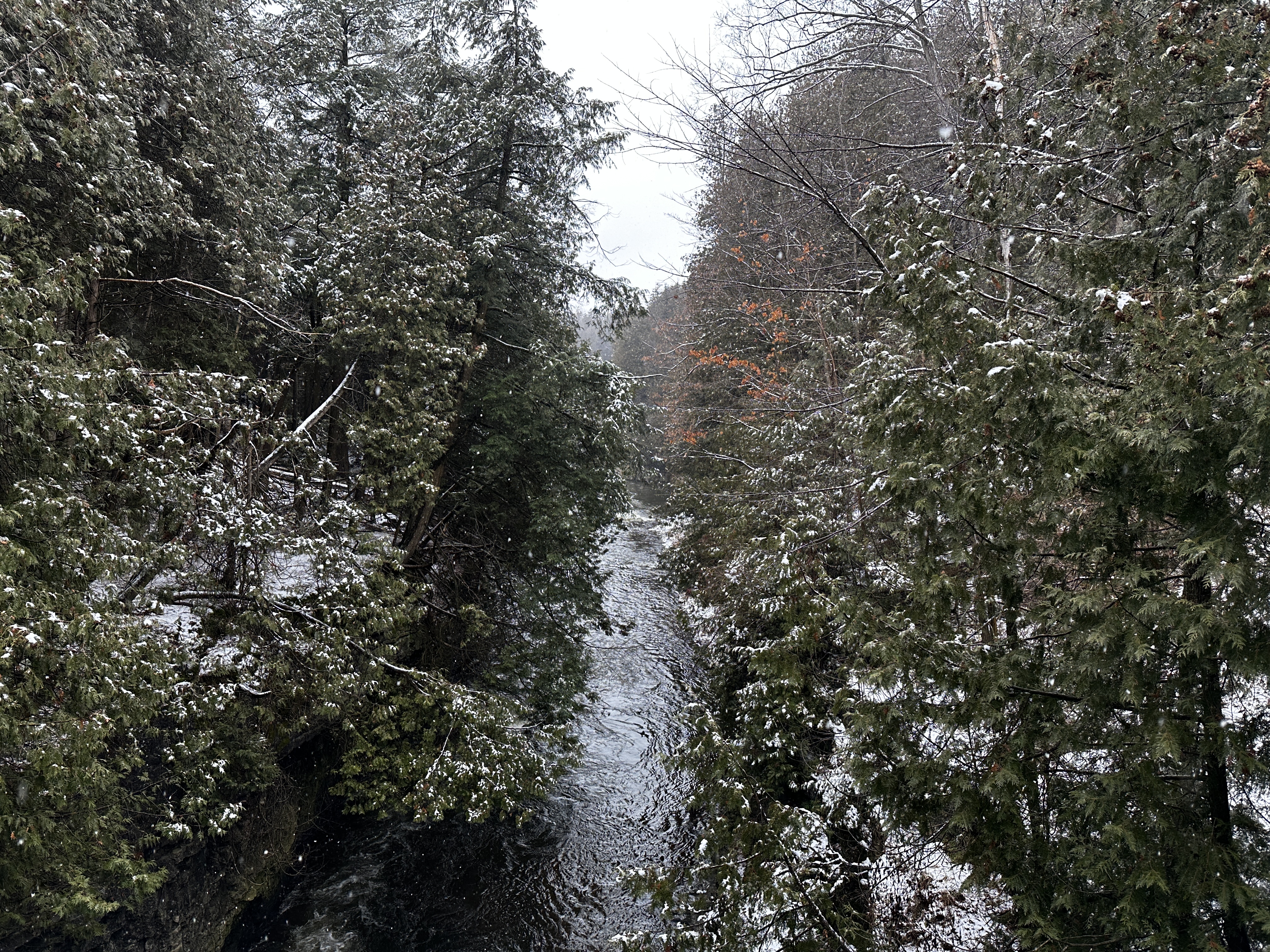 Elora Gorge in the winter