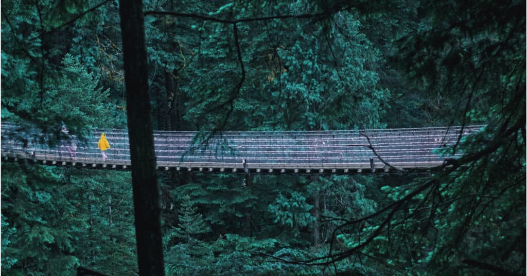 Capilano Suspension Bridge moody