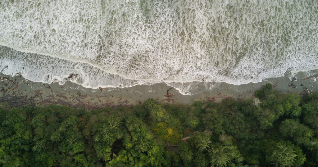 Aerial view of Pacific Rim Nature Reserve, Vancouver Island