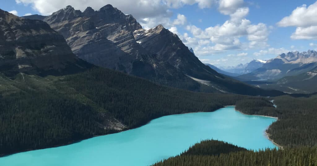 Fox-shaped Peyto Lake, Western Canada