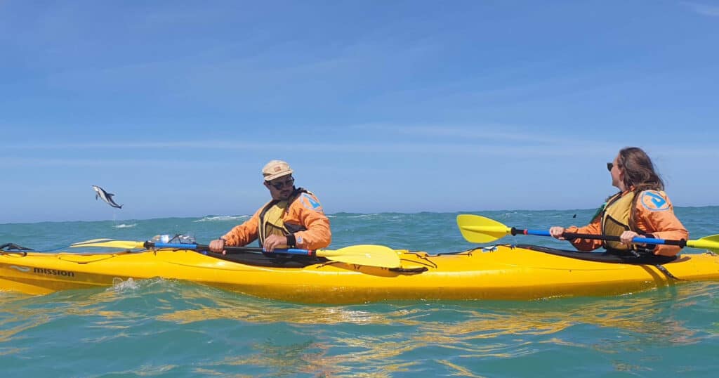 Kayaking with dolphins, one of the best things to do in New Zealand