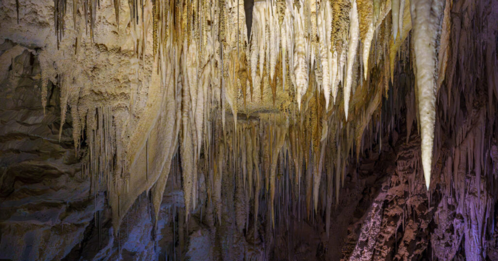 New Zealand Glow Worm Cave stalactites on the ceiling