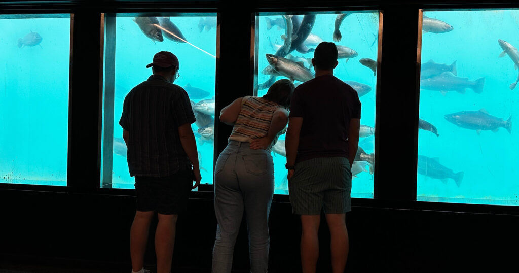 Three people watching fish from underwater observatory