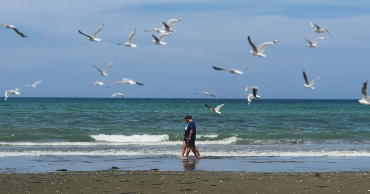 Couple walking on the beach with seagulls flying