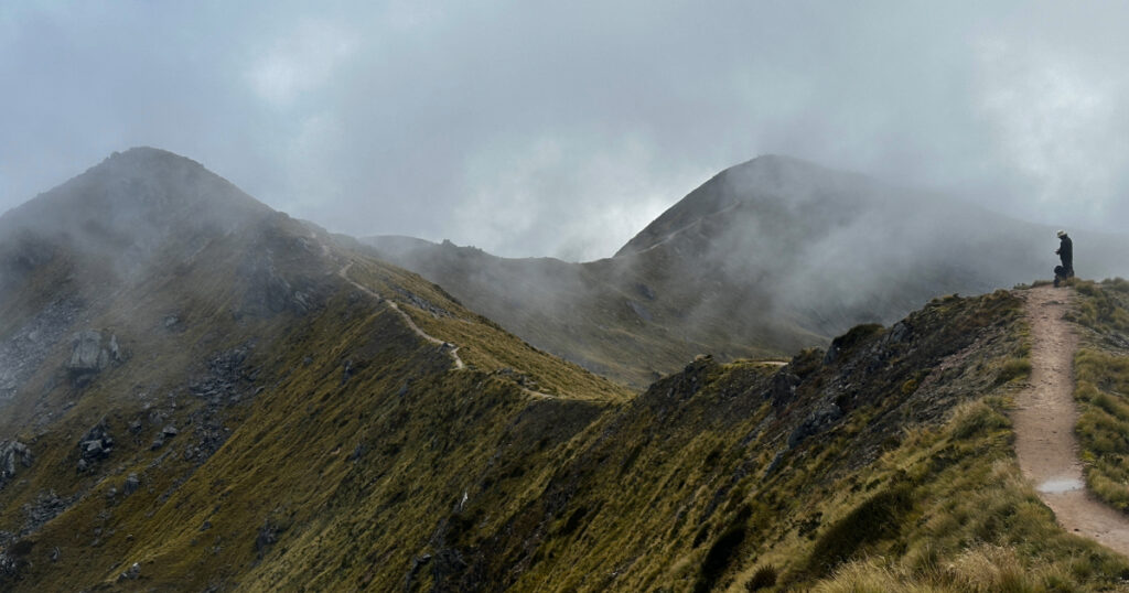 Kepler Track view