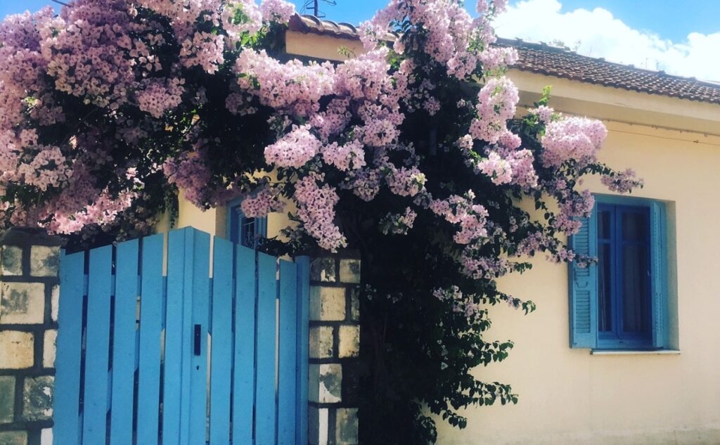 Blue door with pink flowers in Greece