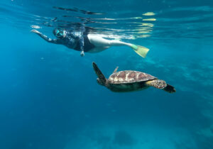 Explore This Cook Islands Map of Activities in Rarotonga