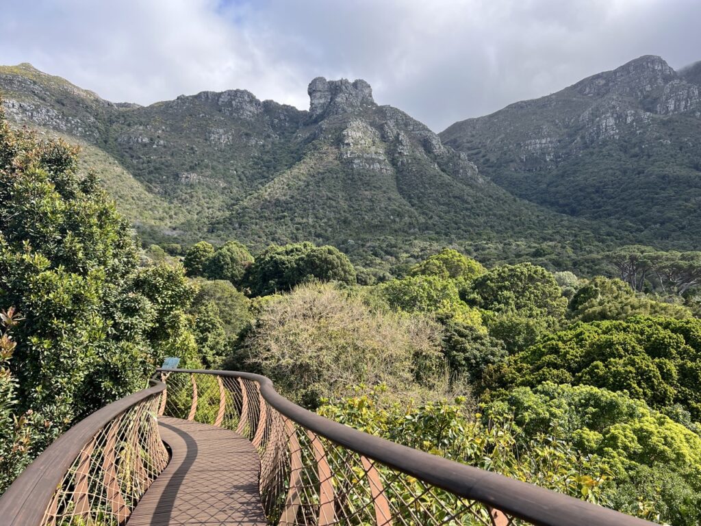 Bridge in Cape Town's botanic gardens