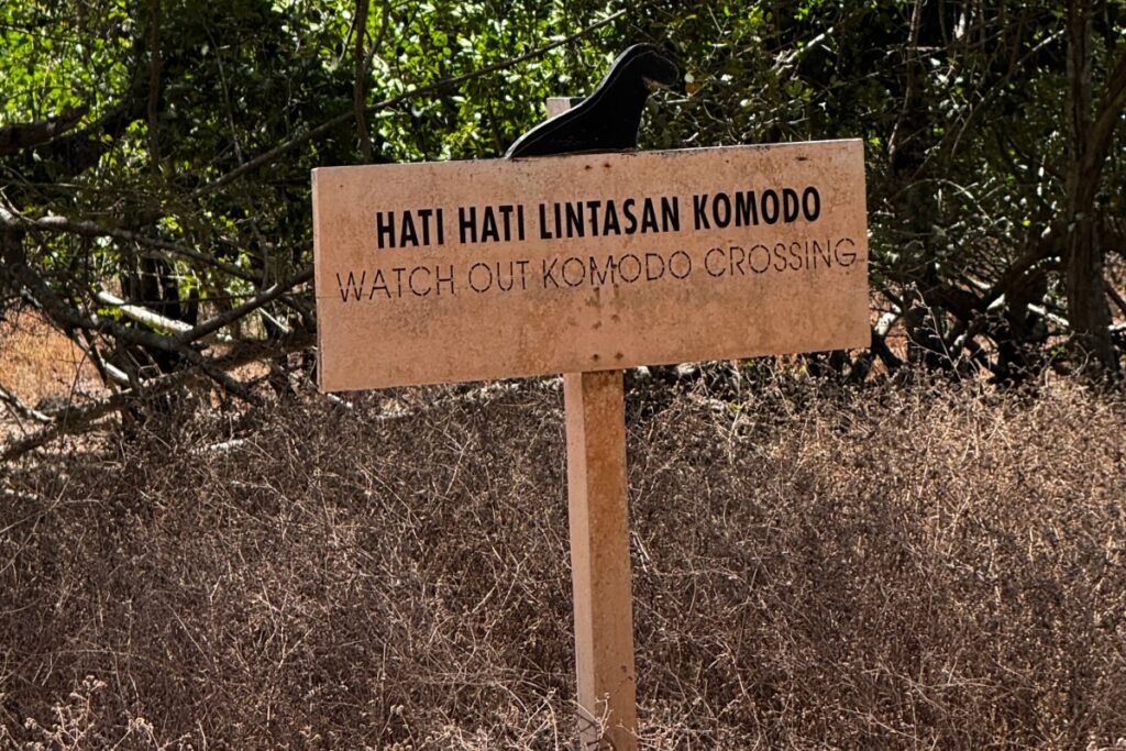 Komodo Dragon Crossing sign