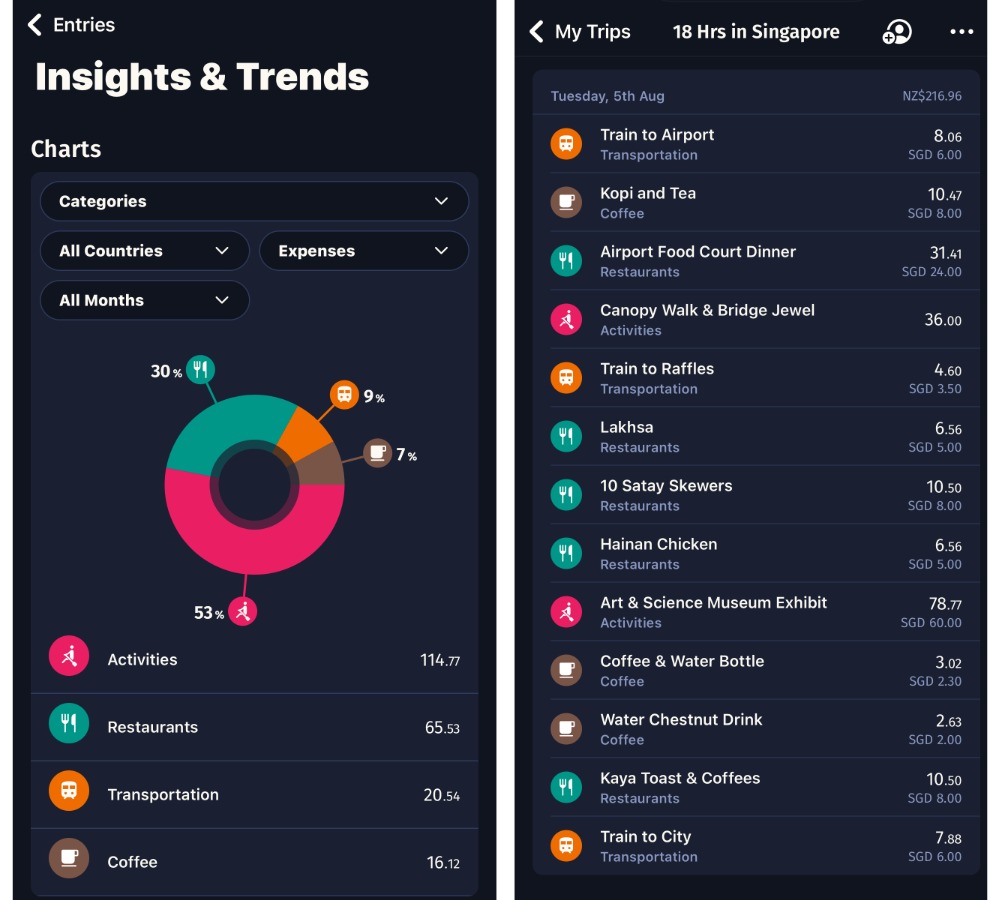 Entries and pie chart in the TravelSpend app for my spending in Singapore