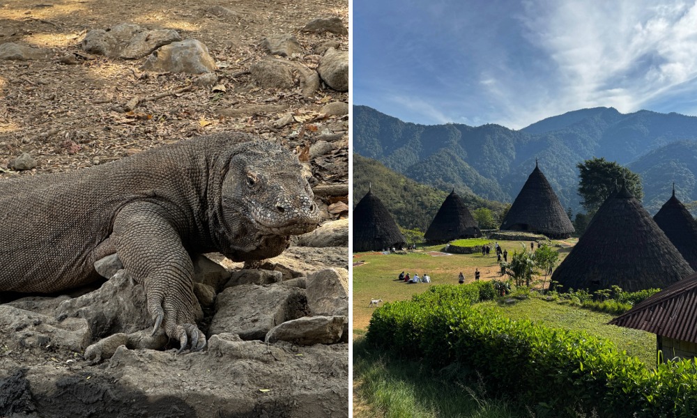 Komodo Dragon and ae Rebo Village