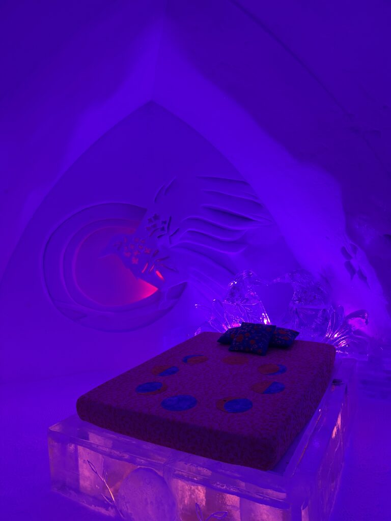 Ice Hotel in Quebec room with a bird theme