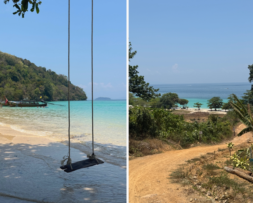 Wooden swing hanging over clear turquoise water, and a sandy path with trees leading to a calm turquoise sea