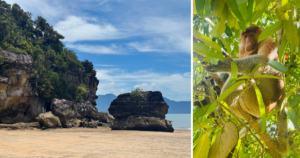 How to get to Bako National Park beach, proboscis monkey