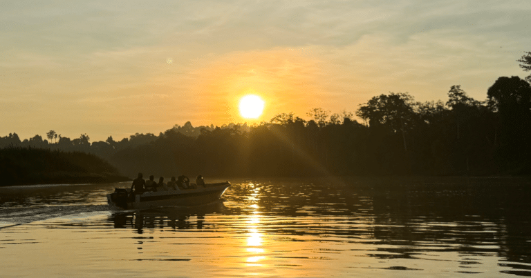 Kinabatangan River Cruise boat at sunset