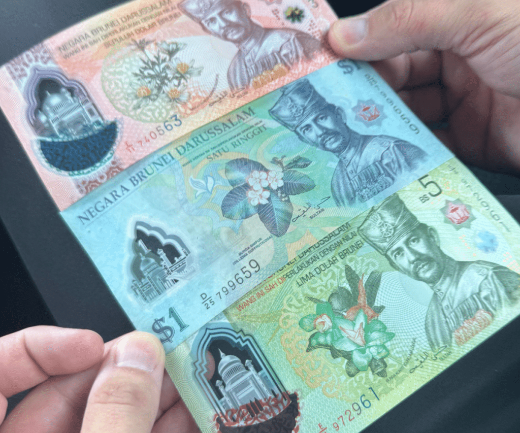 Colourful Brunei dollar notes