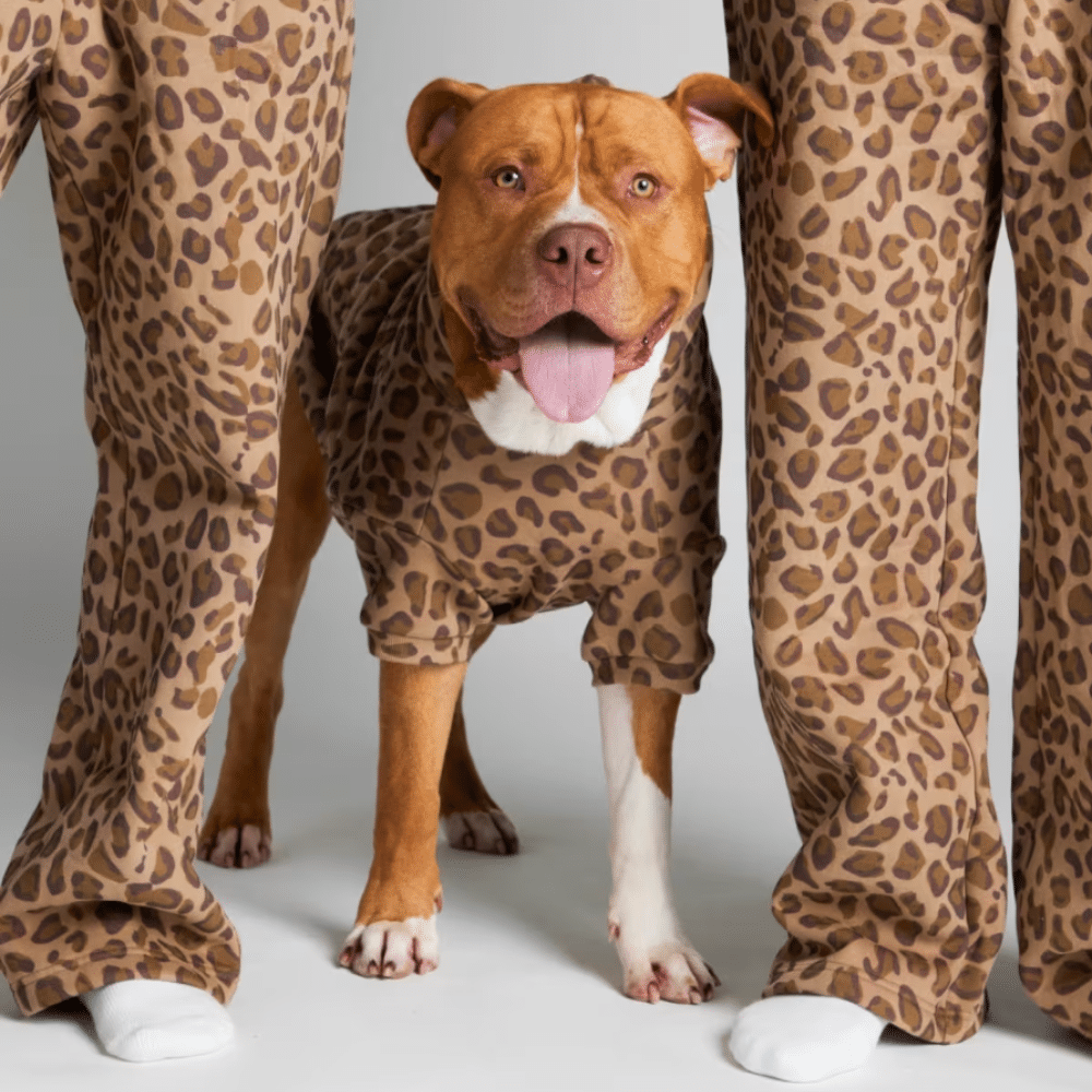 Couple and dog in matching leopard print hoodies