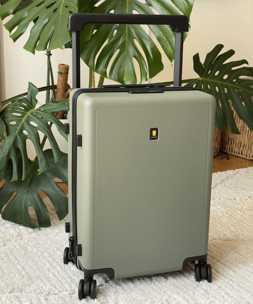 Level8 Luggage 28" Dark Olive in my living room