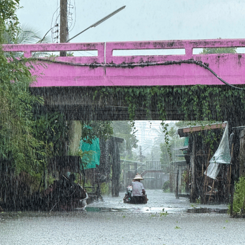 Paddler on canals near Danoen Saduak Floating Market in the rain